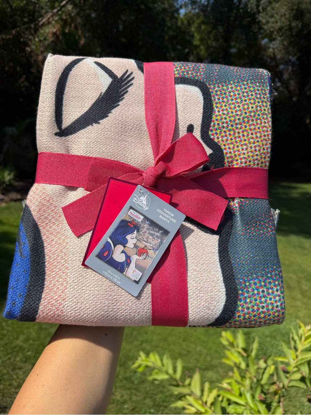 Disney Snow White Throw Blanket - Blue, Red, Cream, Black
